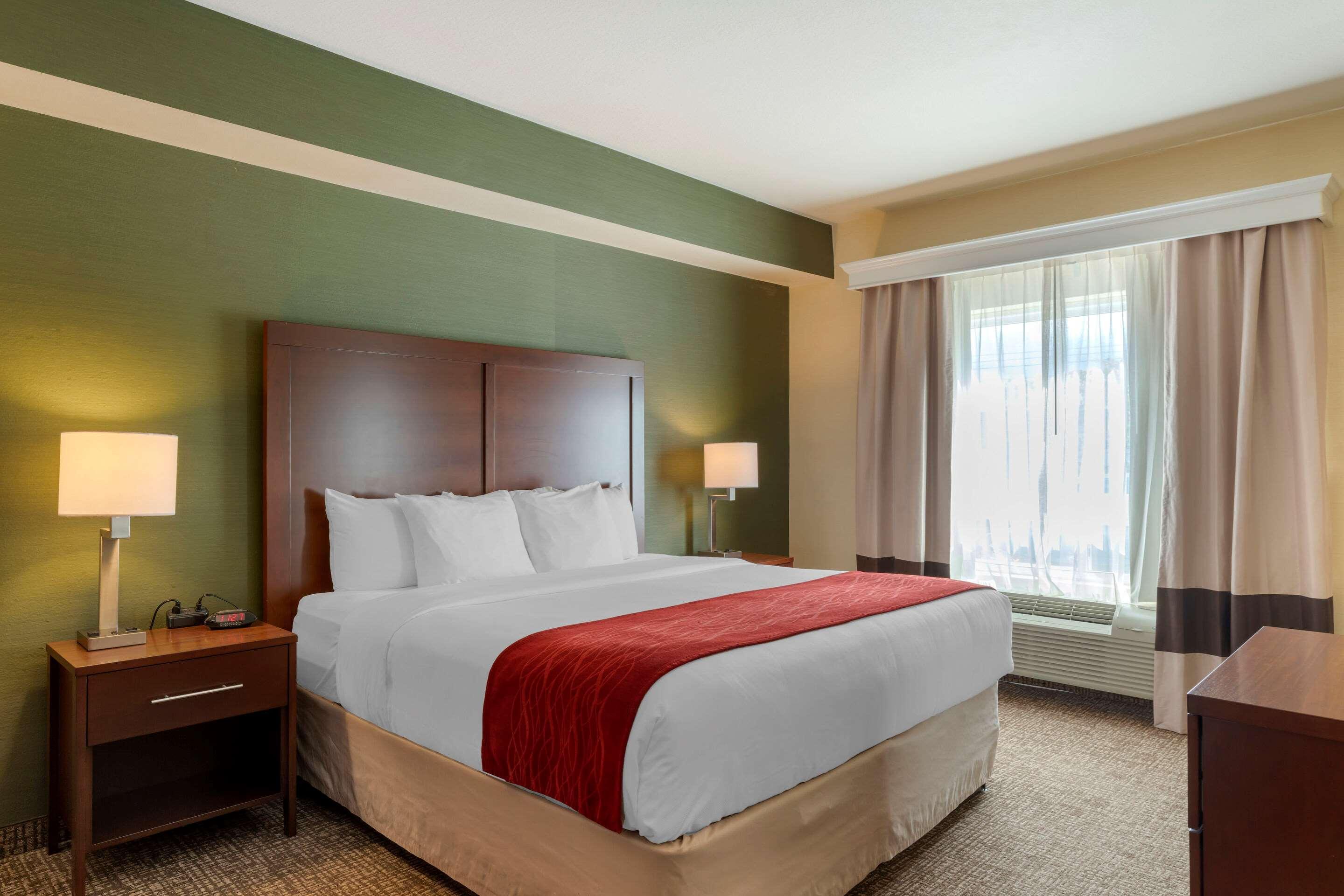 Comfort Inn & Suites Σάλεμ Εξωτερικό φωτογραφία
